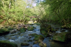 c watervallen Irrel 75
