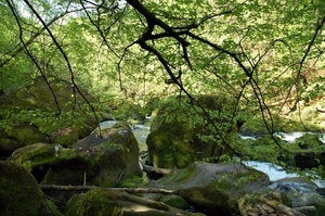 c13 waterval Irrel 76