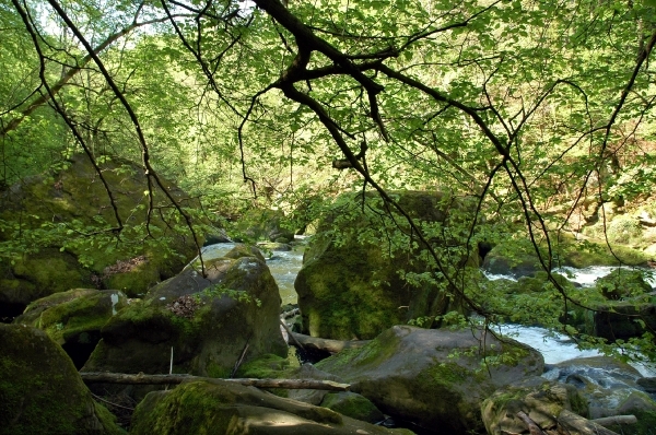 c13 waterval Irrel 76