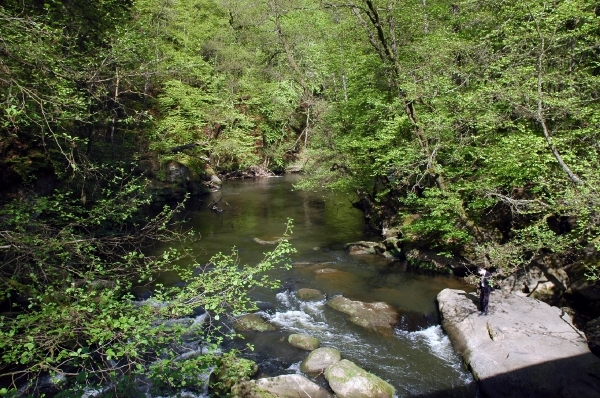 c15 waterval Irrel 81