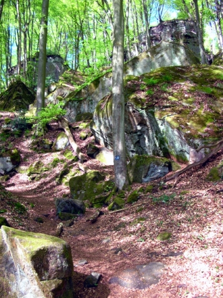 d11  wandeling duivelskloof Ernzen