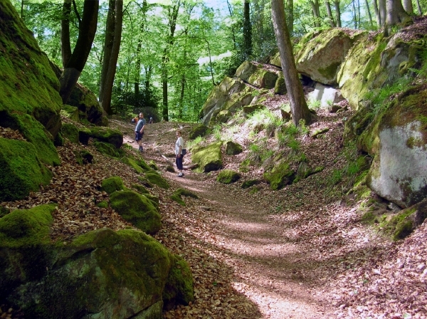 d12  wandeling duivelskloof Ernzen