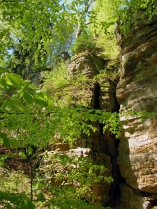 d18  wandeling duivelskloof Ernzen