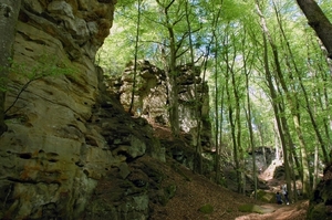d71 duivelskloof120