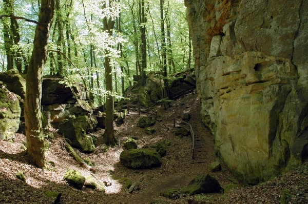 d72 duivelskloof121