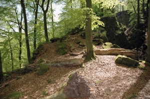 d91 duivelskloof127