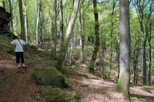 d92 duivelskloof128