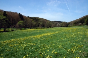 i5   wandeling Irrhausen 150