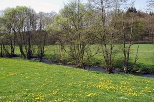 i7   wandeling Irrhausen 152