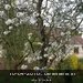 50ies to 60ies 10-04-2010 089