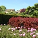 a82   Penshurst garden