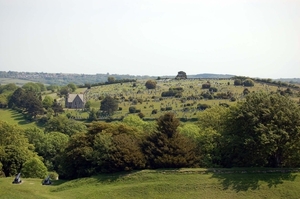 c193   Carisbrooke castle