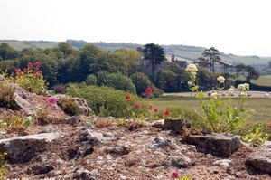 c23   Carisbrooke castle