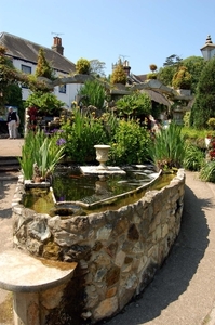 D41  Godshill  tea room garden