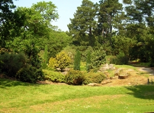 F384   Exbury garden