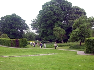 m54   Glastonburry