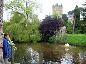 n261      Wells