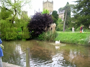 n262      Wells