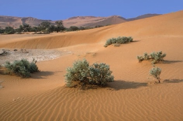 Sossusvlei