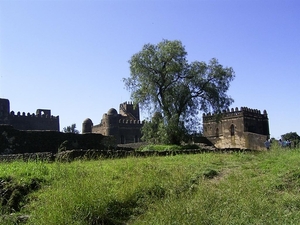 Gondar