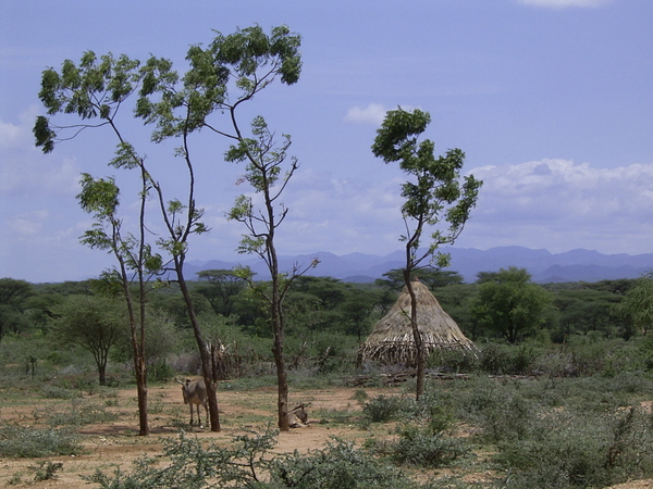 Ethiopie-reis (75)