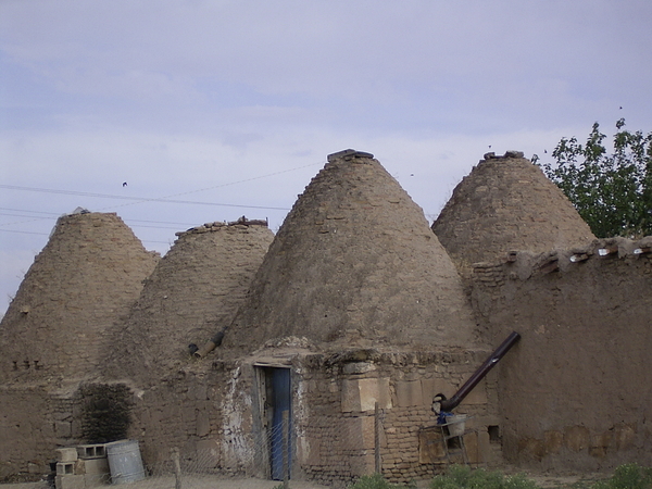 Oost Turkije (76)