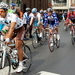 Dwars door Vlaanderen