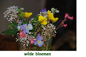 WILDE BLOEMEN