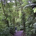 Costa Rica Monteverde (2)