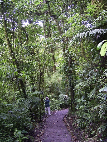 Costa Rica Monteverde (2)