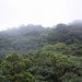 Costa Rica Monteverde (33)