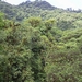 Costa Rica Monteverde (6)