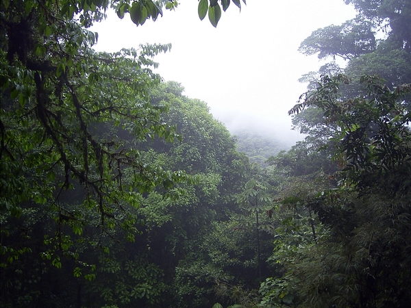 Costa Rica Monteverde