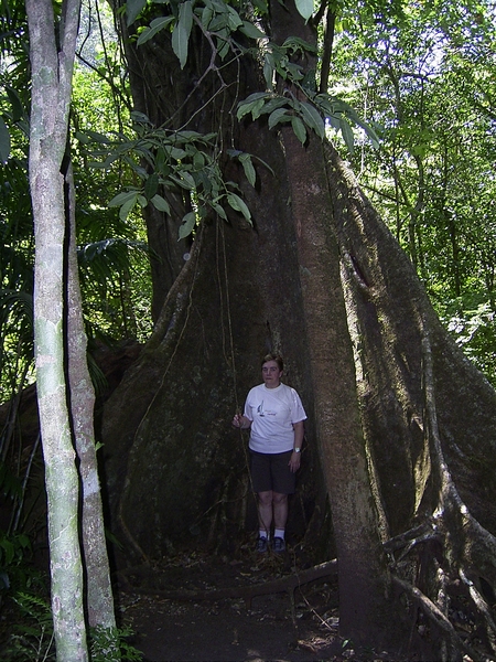 Costa Rica Ricon de la Vieja (14)