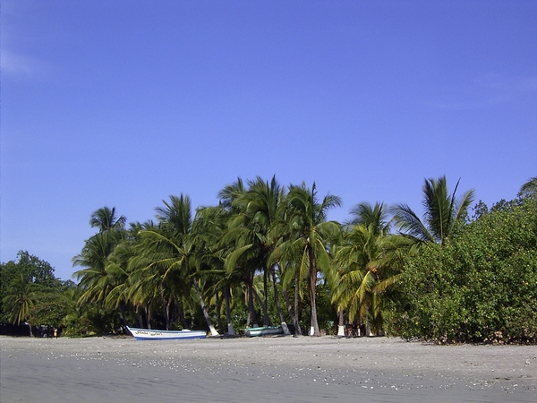 Costa Rica Samara (8)