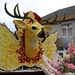 Bloemencorso St Gillis Dendermonde 3.9.0624