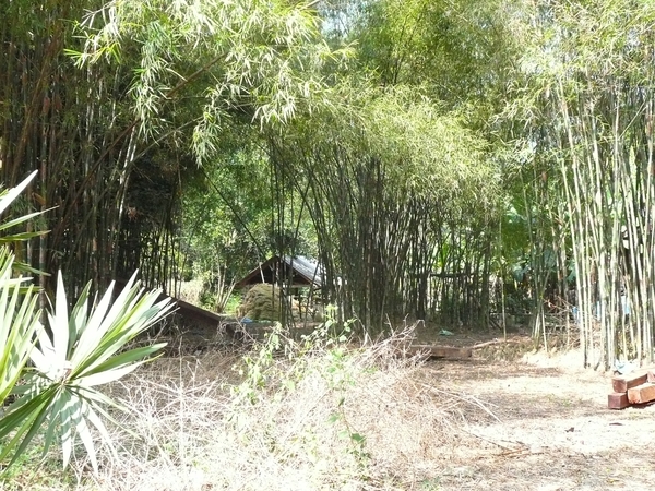 P1020006