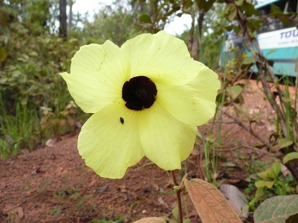 P1010752
