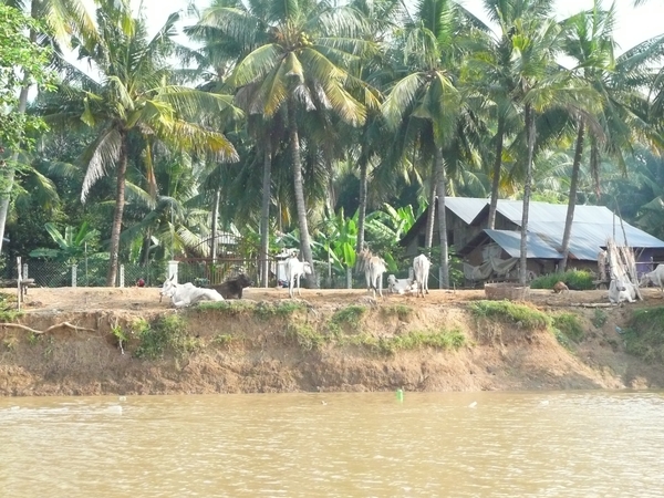 Tonle Sap (12)