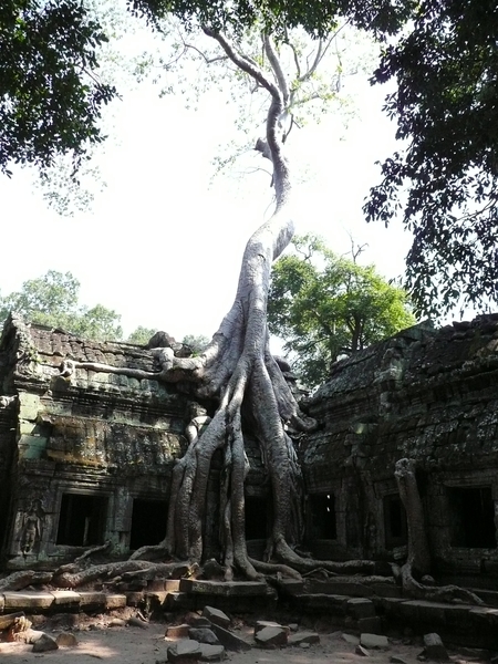 Seam Reap-Angkor (39)