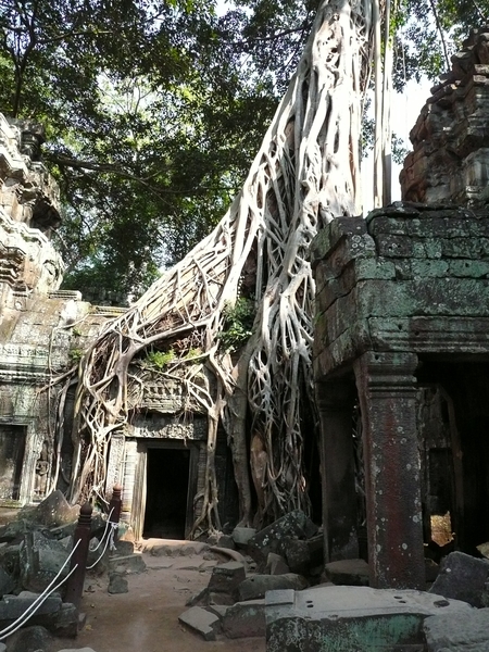 Seam Reap-Angkor (48)