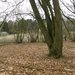 13-03-2010 (61)