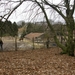 13-03-2010 (62)