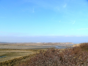 Zwingeul 12 (15-01-05)