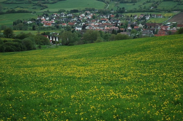 Lichtenau 136