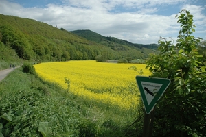 Lichtenau 196