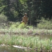 Lichtenau030