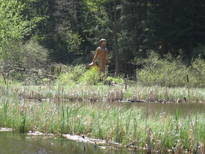 Lichtenau030