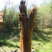 Lichtenau033