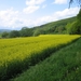 Lichtenau046